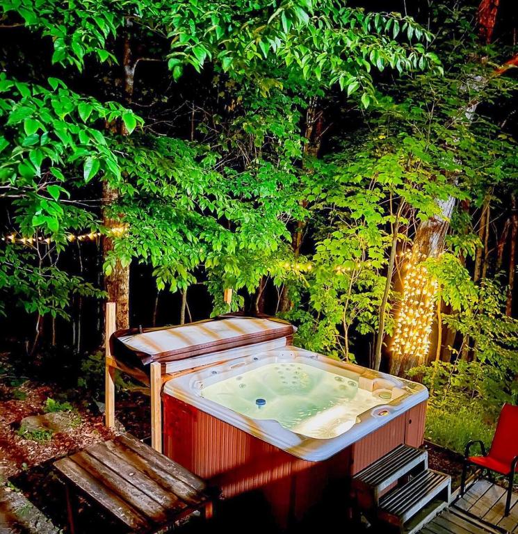 Log cabin with HOT TUB and view, La Minerve