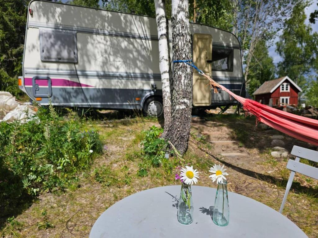 Caravan on eco farm with external bathroom - Bjorngarden, Sunne