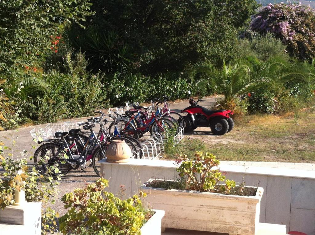 Olgas Paradise Apartments — Sports & recreation in Kos Town, South Aegean