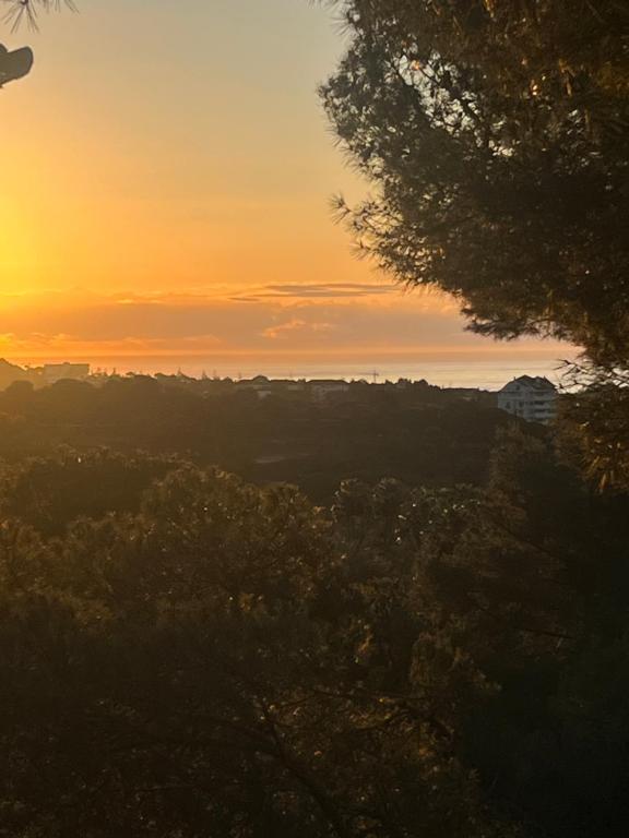 Suite F up, Rio Real, Marbella - 5