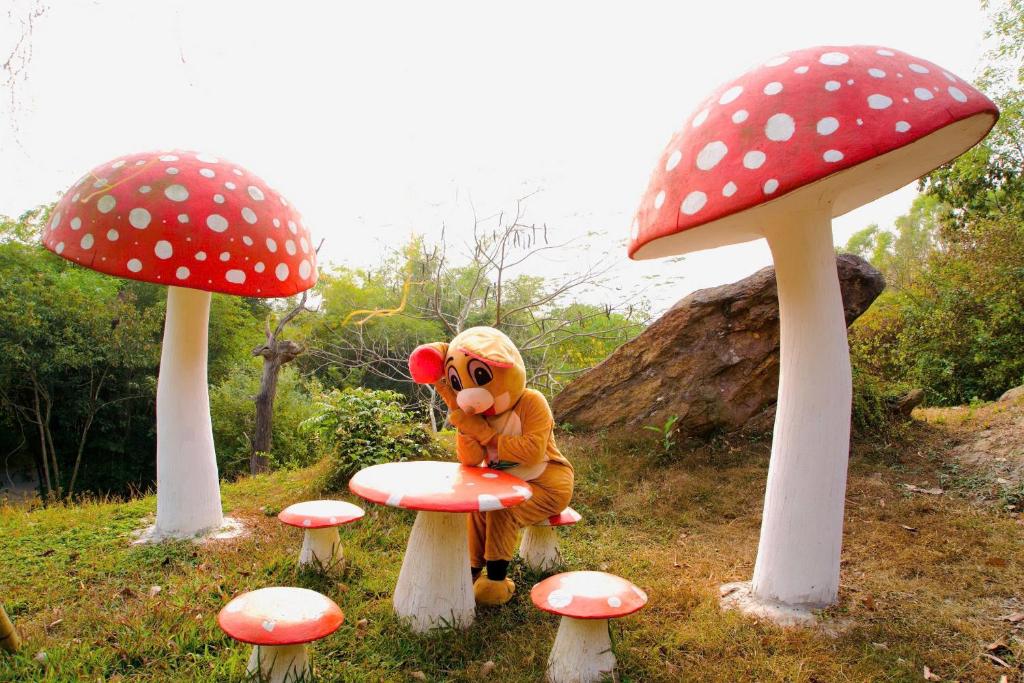 Surrounding environment