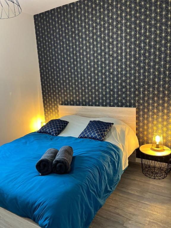 Appartement 1 chambre - Centre-ville - 1
