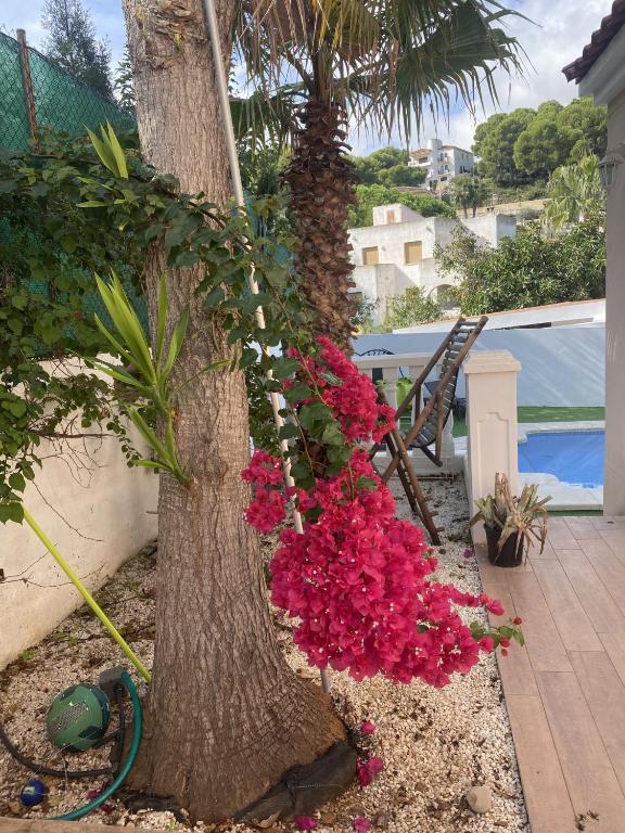 Home with view and swimming pool - 5