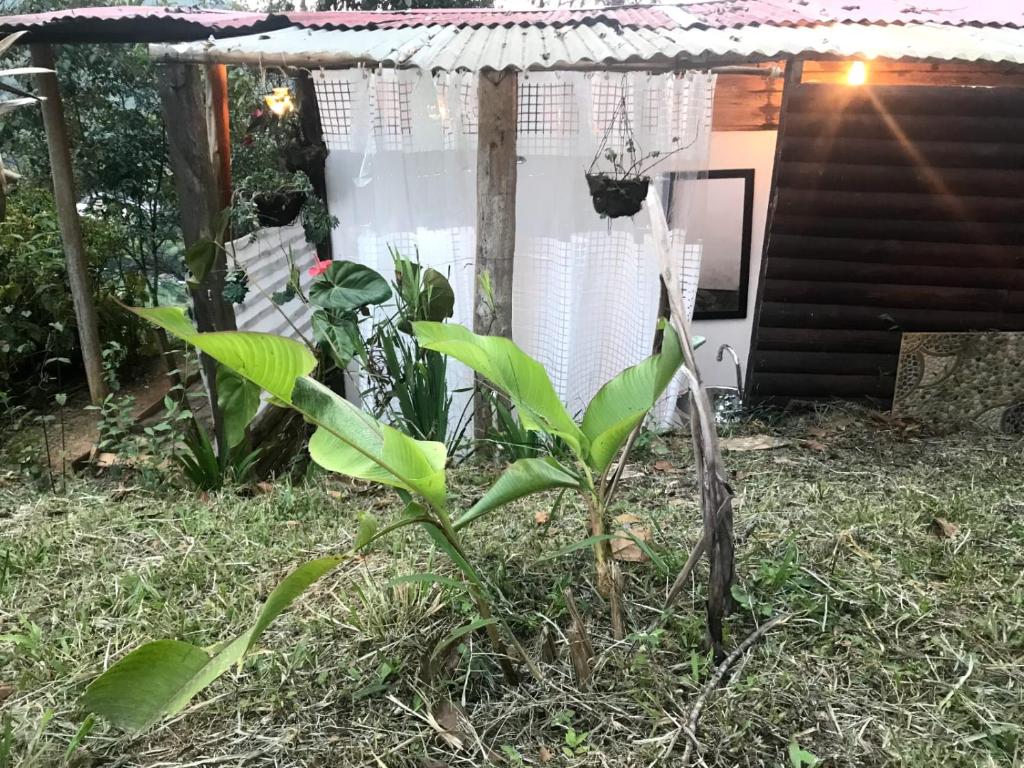 La Senda del Barcino - 3