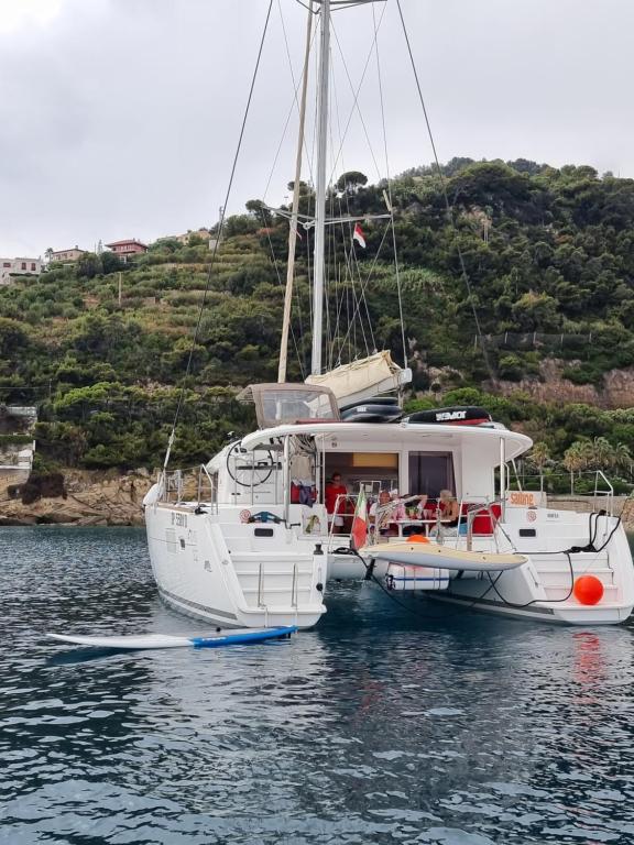 Red Sail - 2