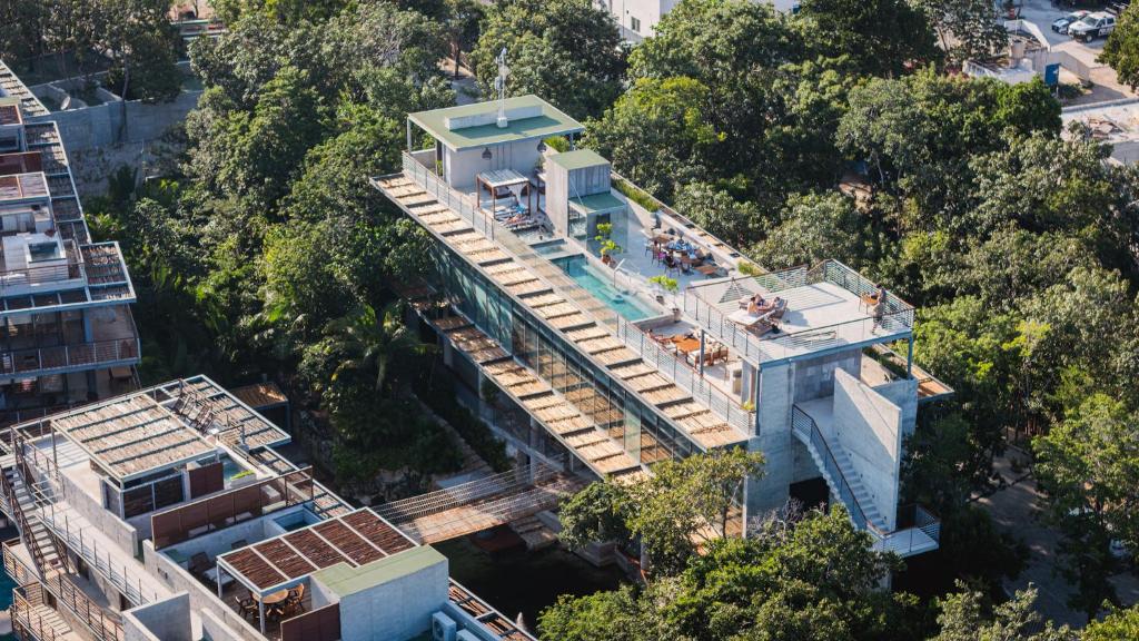 Classy 1BR on Private Cenote Big Gym Roof Pool - 4