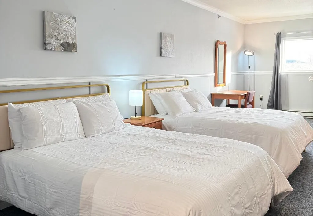 Elite Hotel -Downtown Center- "Ski & Northern light Tour" "Hot Spring Tour "Long-term stay", hotel in Whitehorse