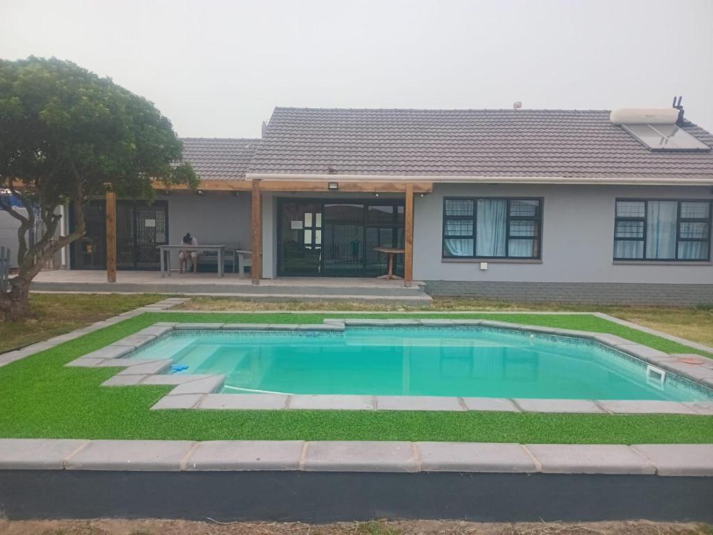 Silva Dolphin, Vredenburg