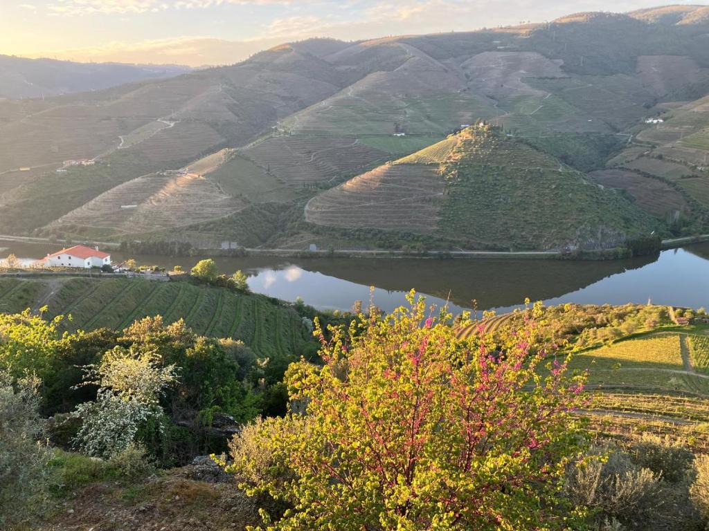 Plácido Hotel Douro - Tabuaço - zdjęcie 2