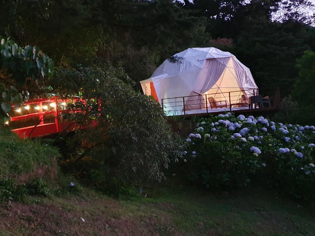 Surrounding environment