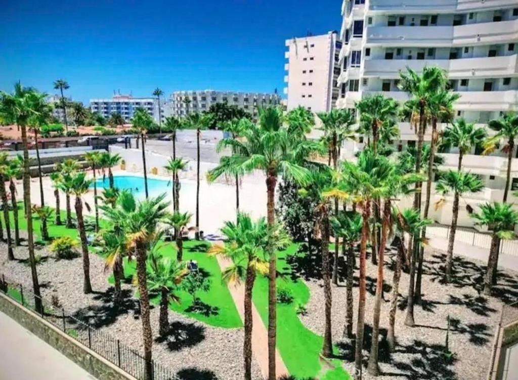 Yumbo Habitat, Maspalomas