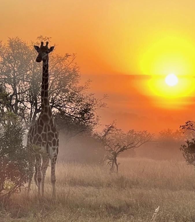 Mkhiweni 3 Bedroom Villa at Dombeya Wildlife Estate, Mbabane