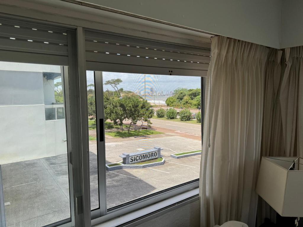 Hermoso Apartamento primera linea Rambla de Playa Mansa Punta del Este - 5