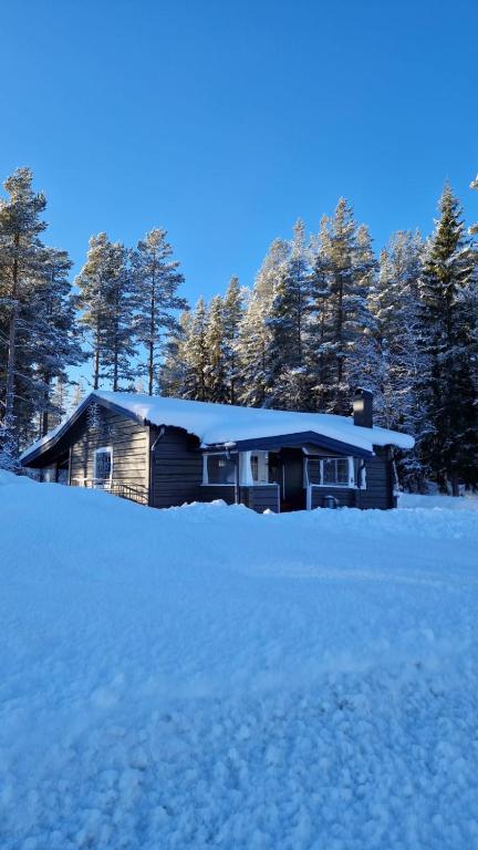 Gemütliches Blockhaus, Nornäs