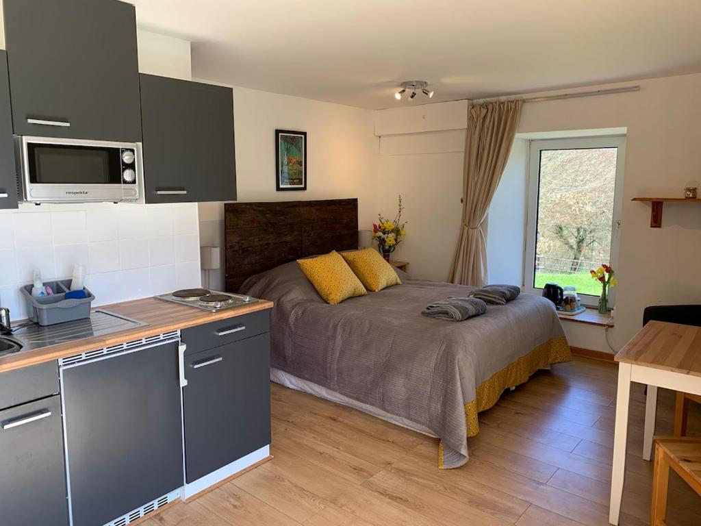 Secluded and self-contained Room with a View, Tintern