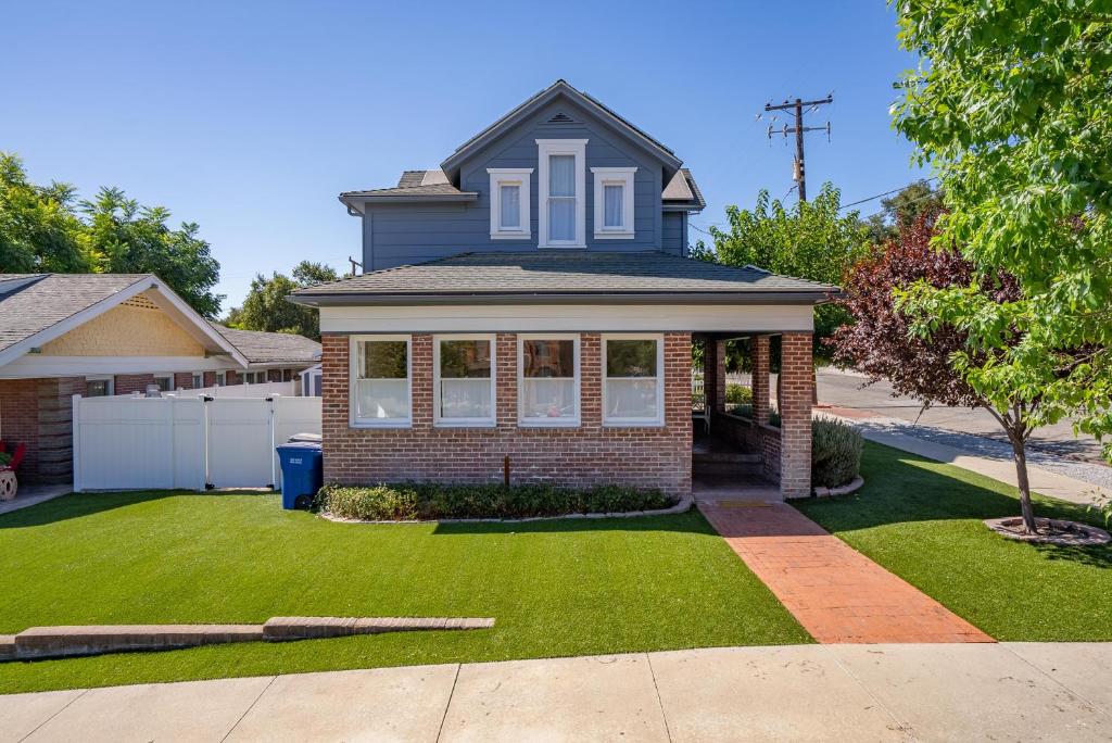 Blue Chestnut, Paso Robles