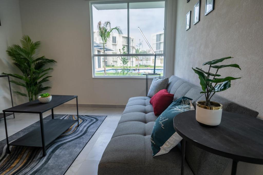 Ảnh 2