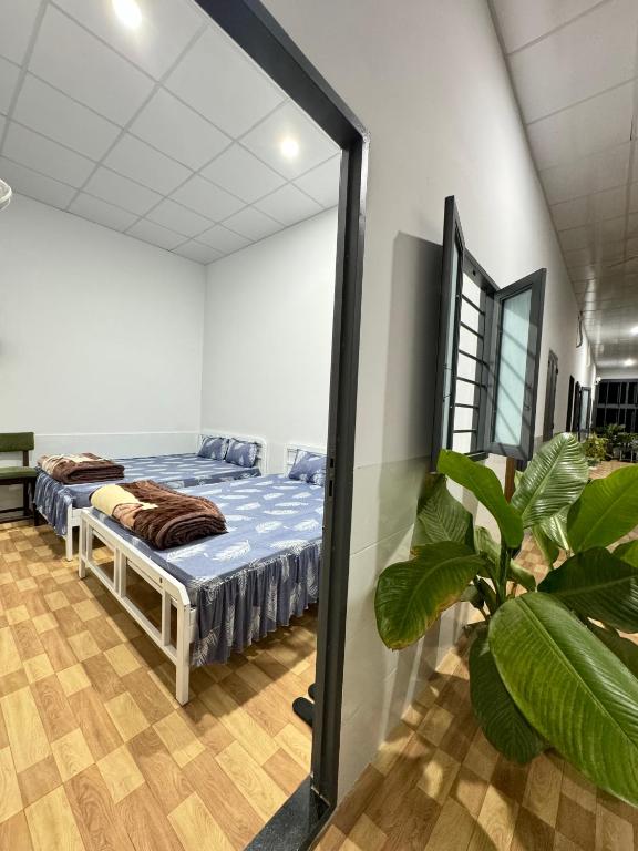 Nhà Nghỉ Hải Vân