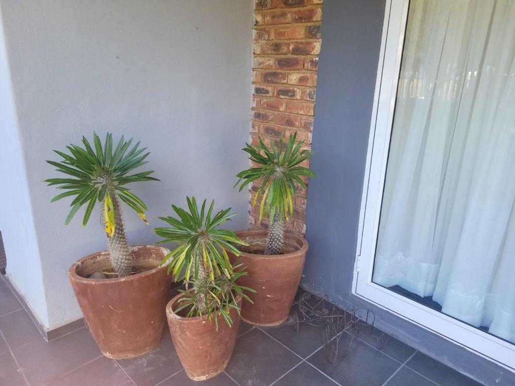 Cosy - Best Rest Potch, Potchefstroom