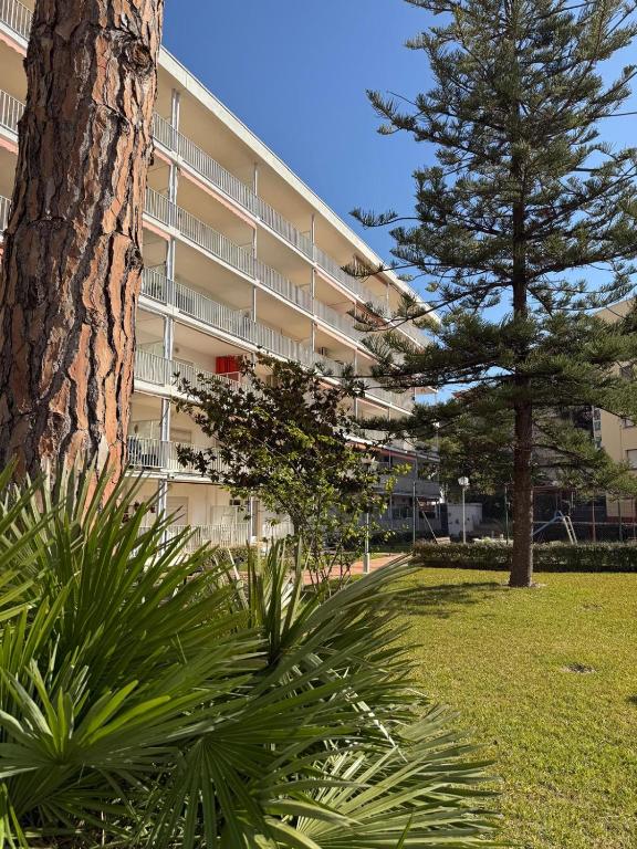 Apartamentos Hesperia Palmyra - 1