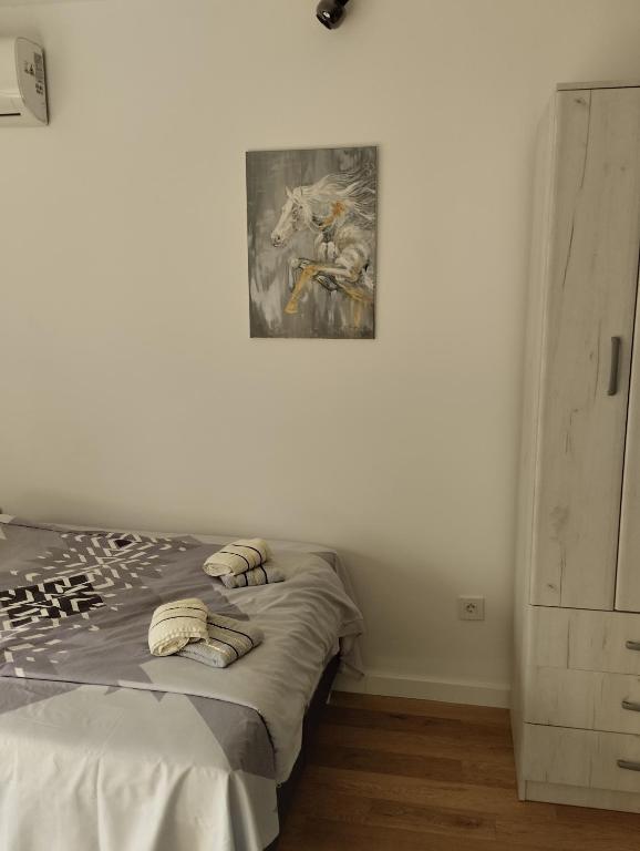 Studio TALIJA Balkan Square - 3