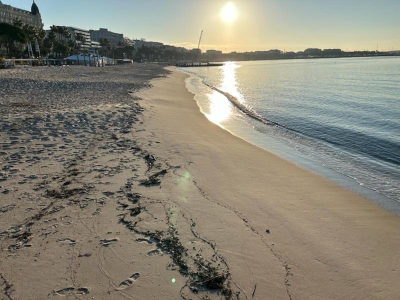 Elegant studio a 50m de la Croisette et ses plages - Ada Serenity Beach - 1