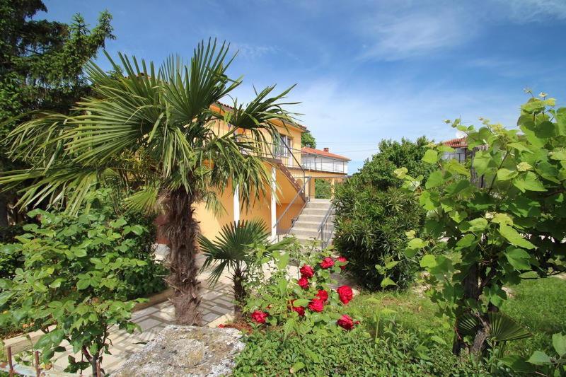 Apartment Umag Lukin photo