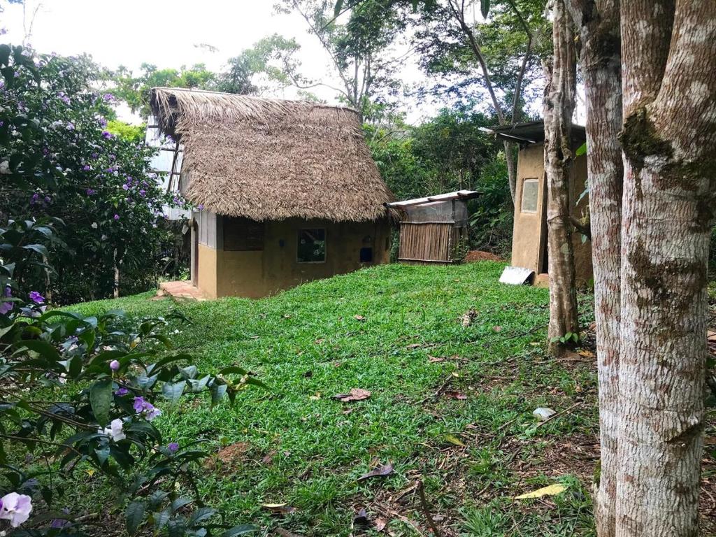 Sweet little cabin in ecological artist community - 3