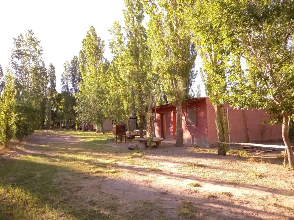 Cabañas Zorzal Rodeo - 3