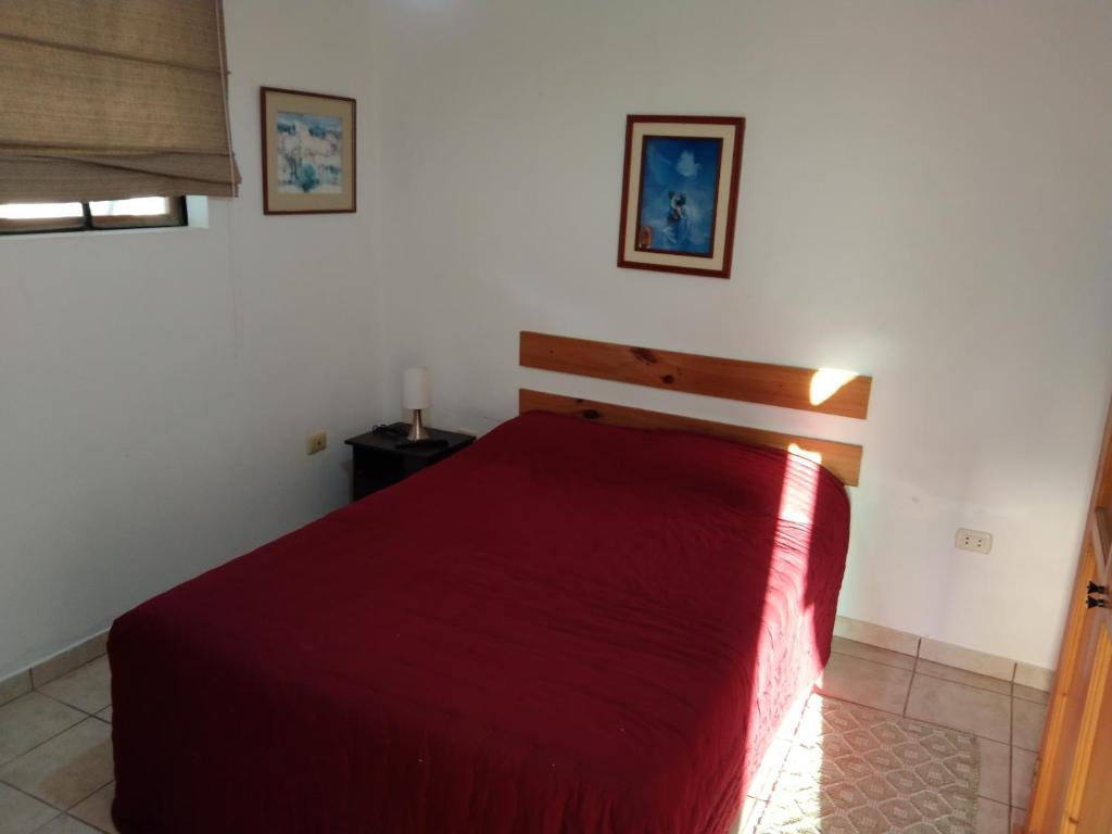 Doña Carmen - 3