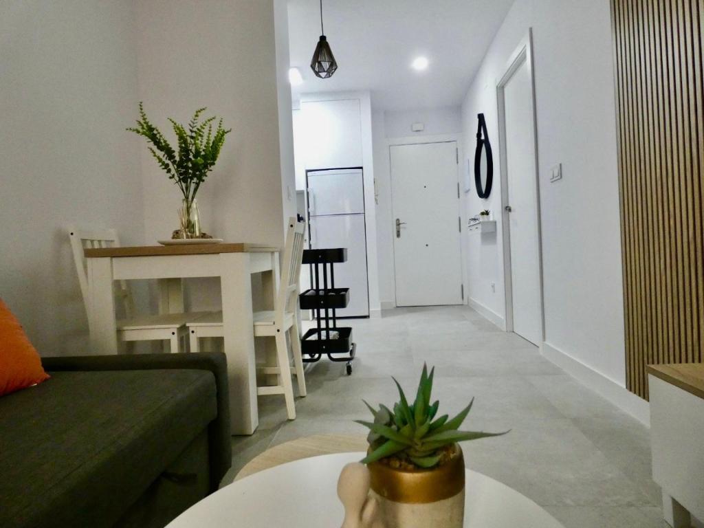 apartamento cardenal albornoz - 3