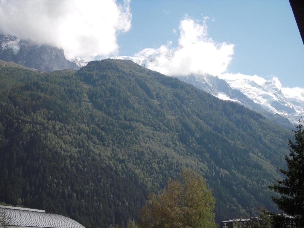 2 Pièces à Chamonix, Vue Mont-Blanc, Animaux admis, Parking - FR-1-517-26 - 5