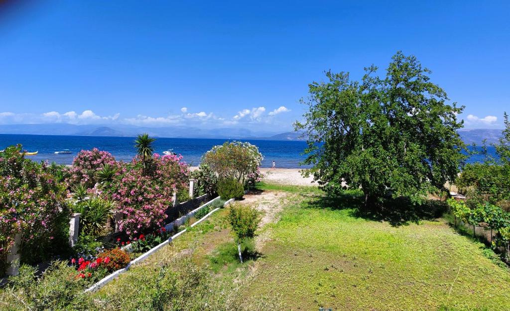 Ever Green beach Apartments — Kavos, Ionian Islands