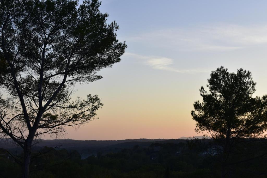 Ô Tilia d'Azur - 2