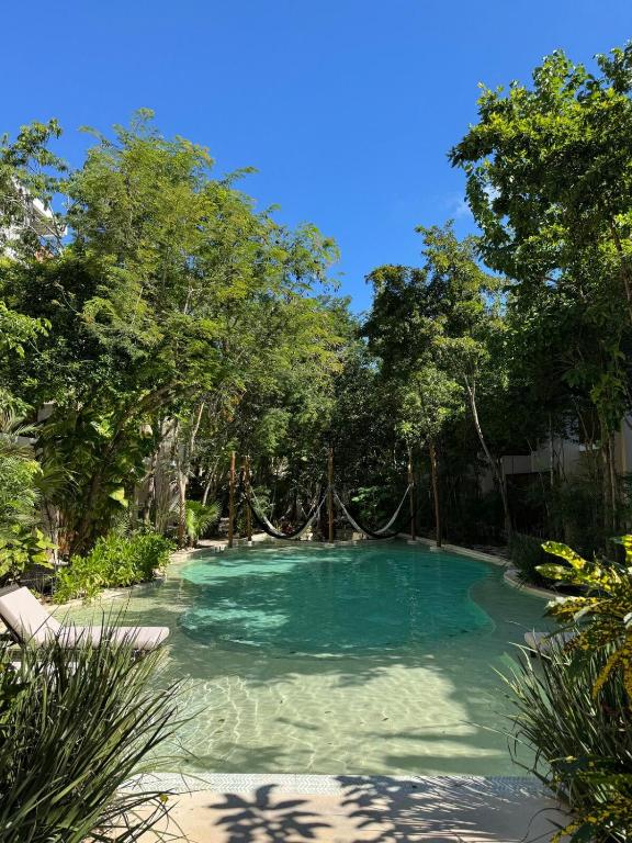 3 BR Jungle Apartment - Private Pool - La Veleta - 3