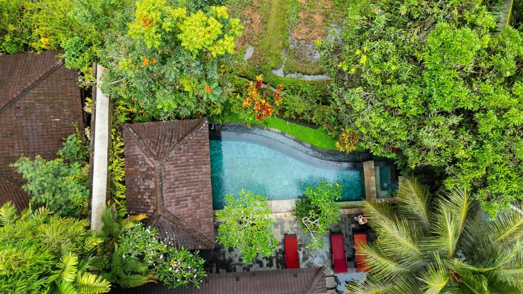 Surrounding environment