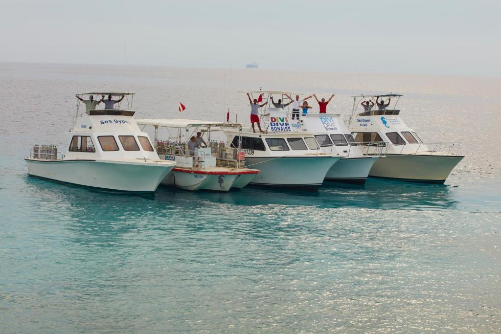 Divi Flamingo Beach Resort And Casino Photo 45