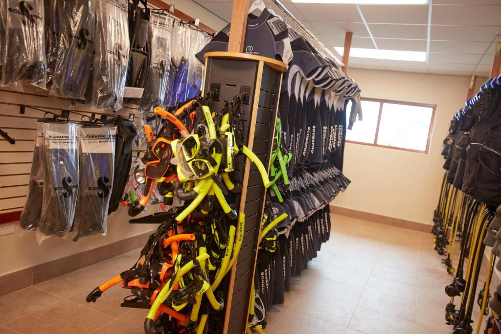 Divi Flamingo Beach Resort And Casino Photo 49