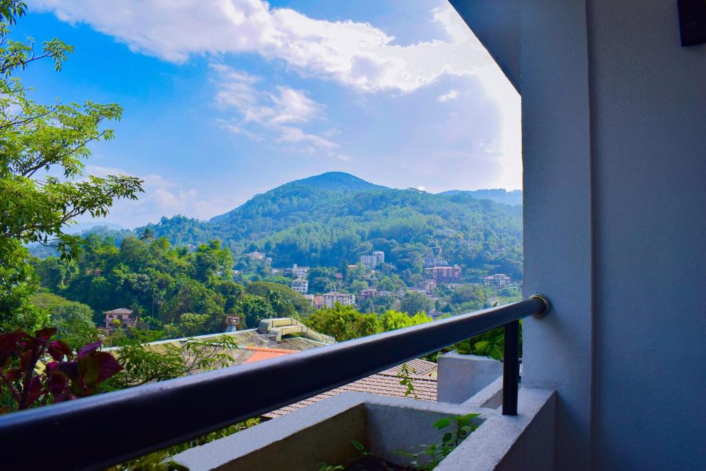 周辺観光スポット