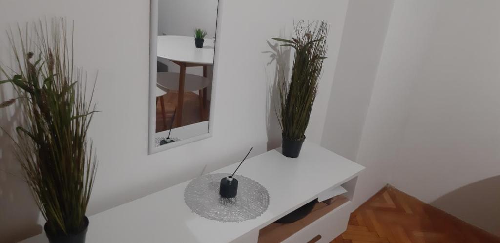 Apartment CenterZeroZone, Banja Luka