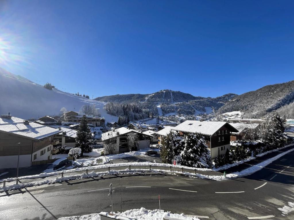 Alcyon A23 - Studio proche pistes - 3