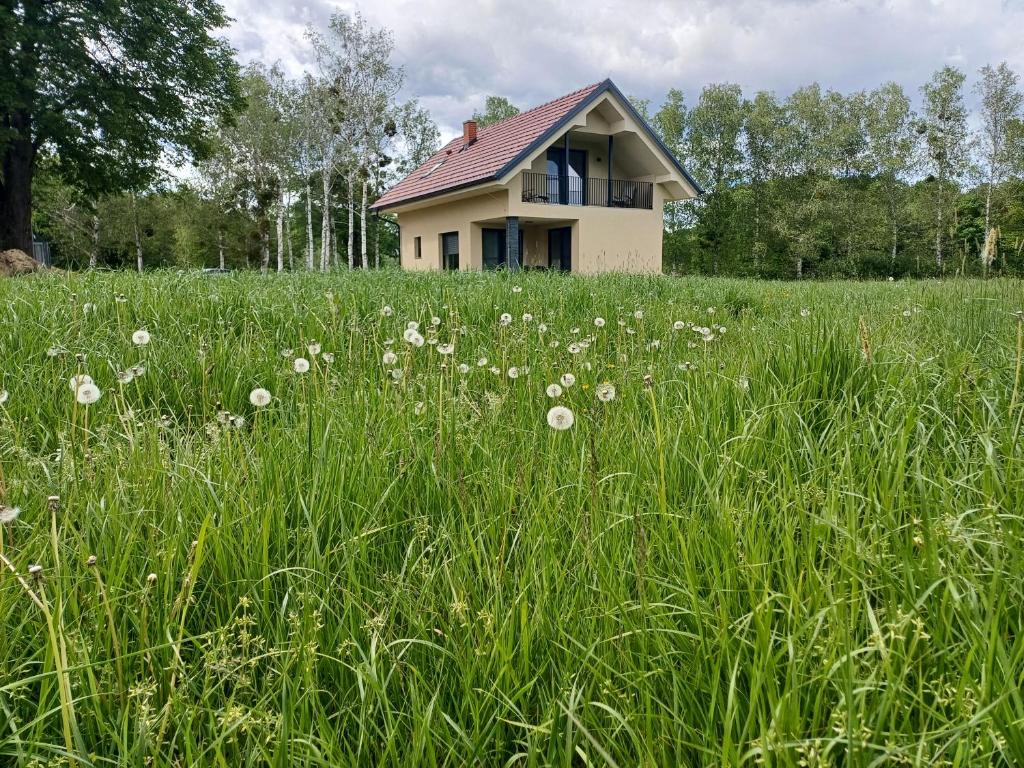 Hiša Štolc, Gornja Radgona