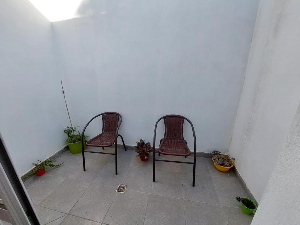 El Viejo Nogal - 4