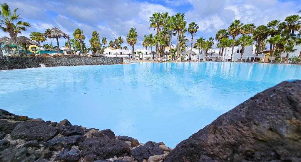 Blue Oasis - 1
