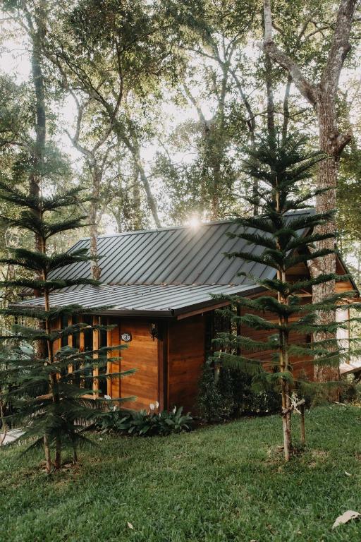 The Jungle Touch, Doi Saket