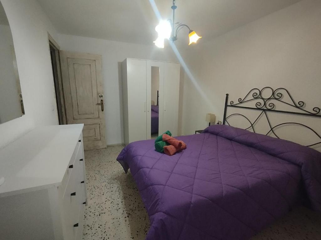Casa Violeta - 4