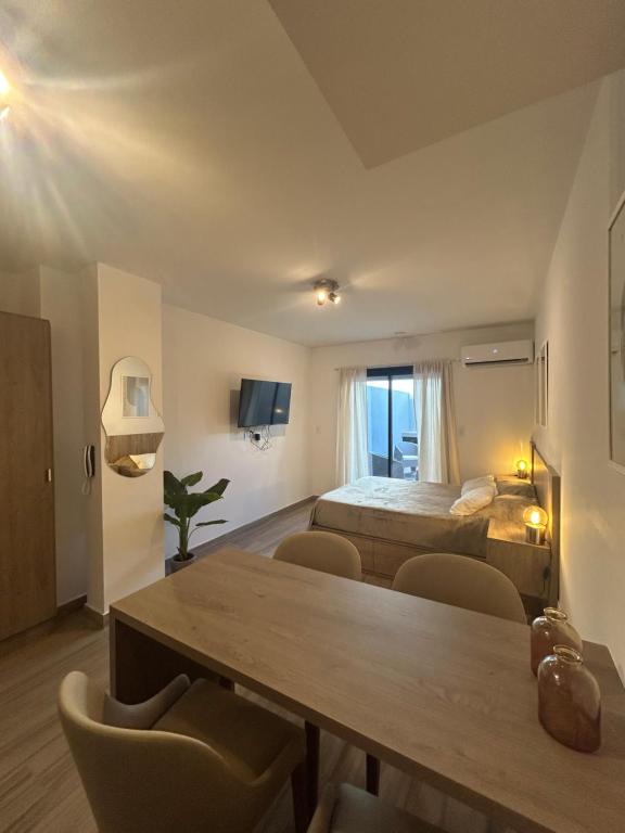 Monoambiente a estrenar, Rosario