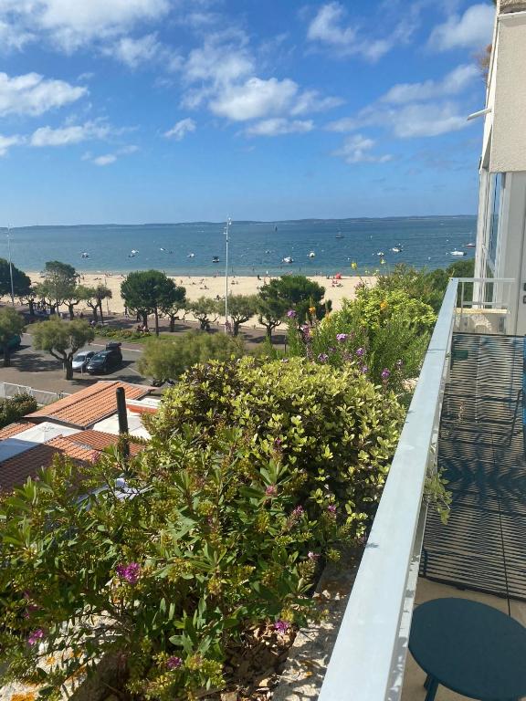 Appartement Claire front de mer superbe vue Bassin - 3