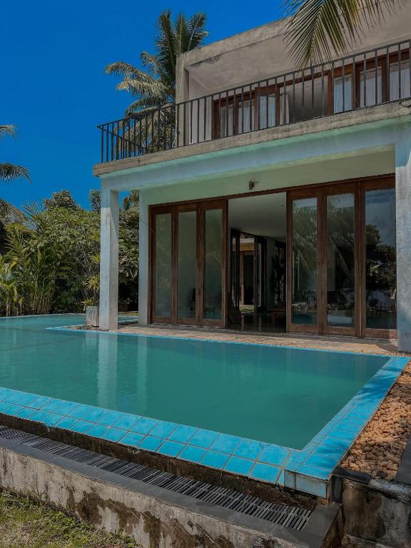 Red Mangrove, Bentota