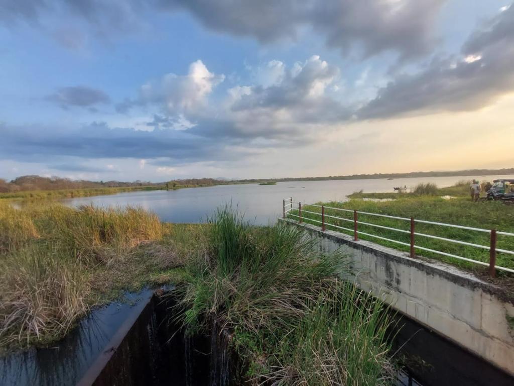 The Treasure - Habarana, Habarana